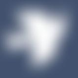 Cactus | Charici