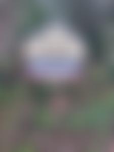 Merseyside Dogs Home Limited | Charici