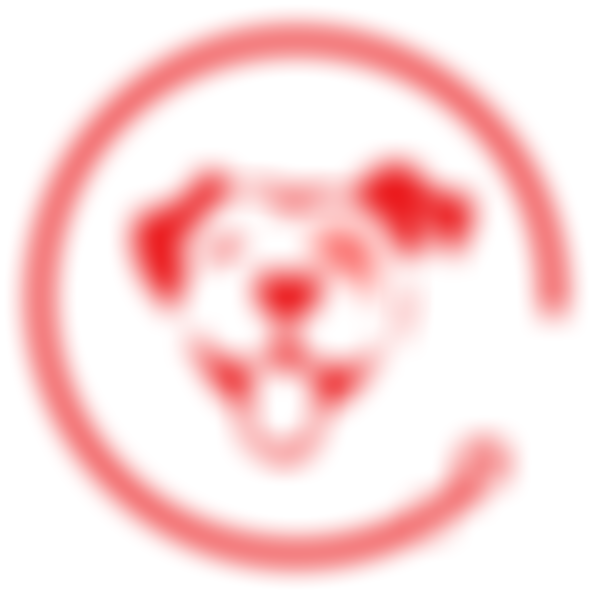 Halo Dogs Rescue & Rehabilitation | Charici