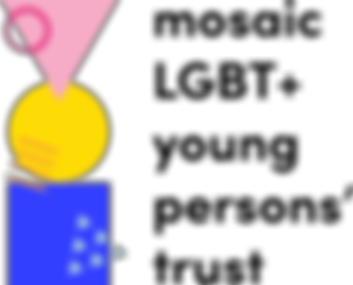 Mosaic Lgbt+ Young Persons' Trust | Charici