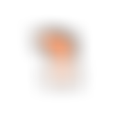 Veterans For Wildlife | Charici