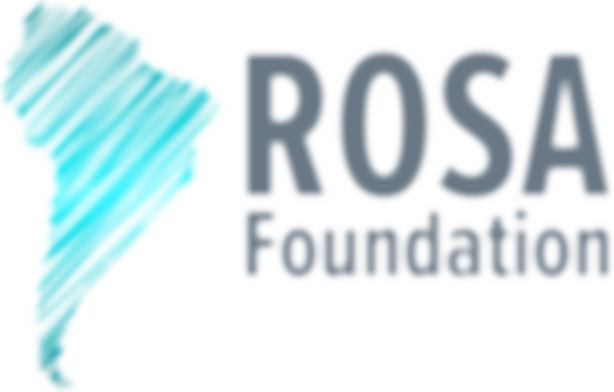 Rosa Foundation | Charici