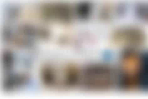 Friends Of Ferals (Sheffield) | Charici