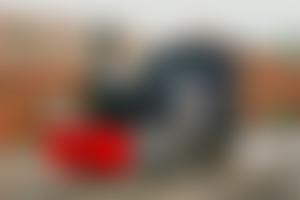 The Gelert Trust | Charici