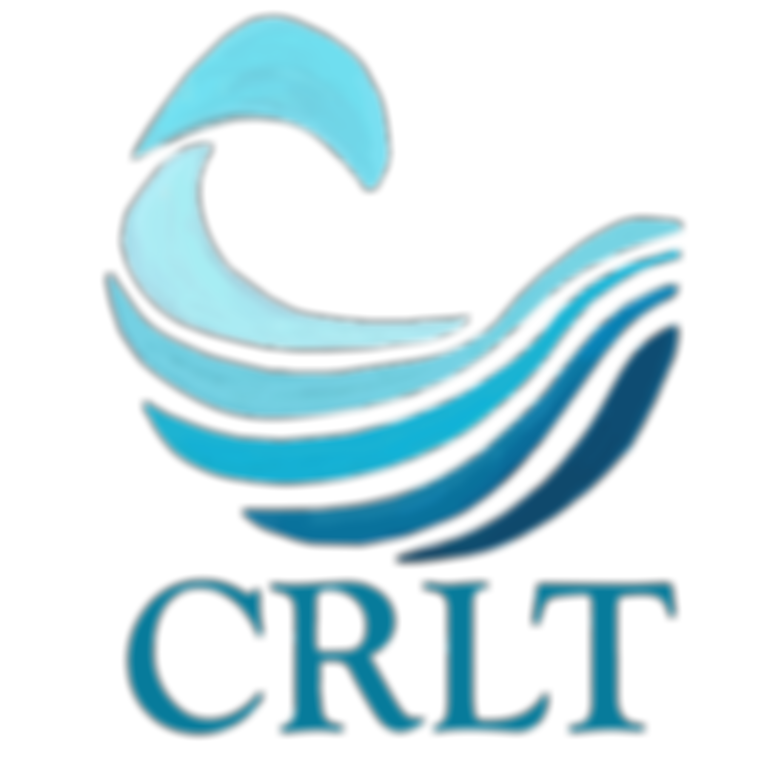 Connie Rothman Learning Trust | Charici