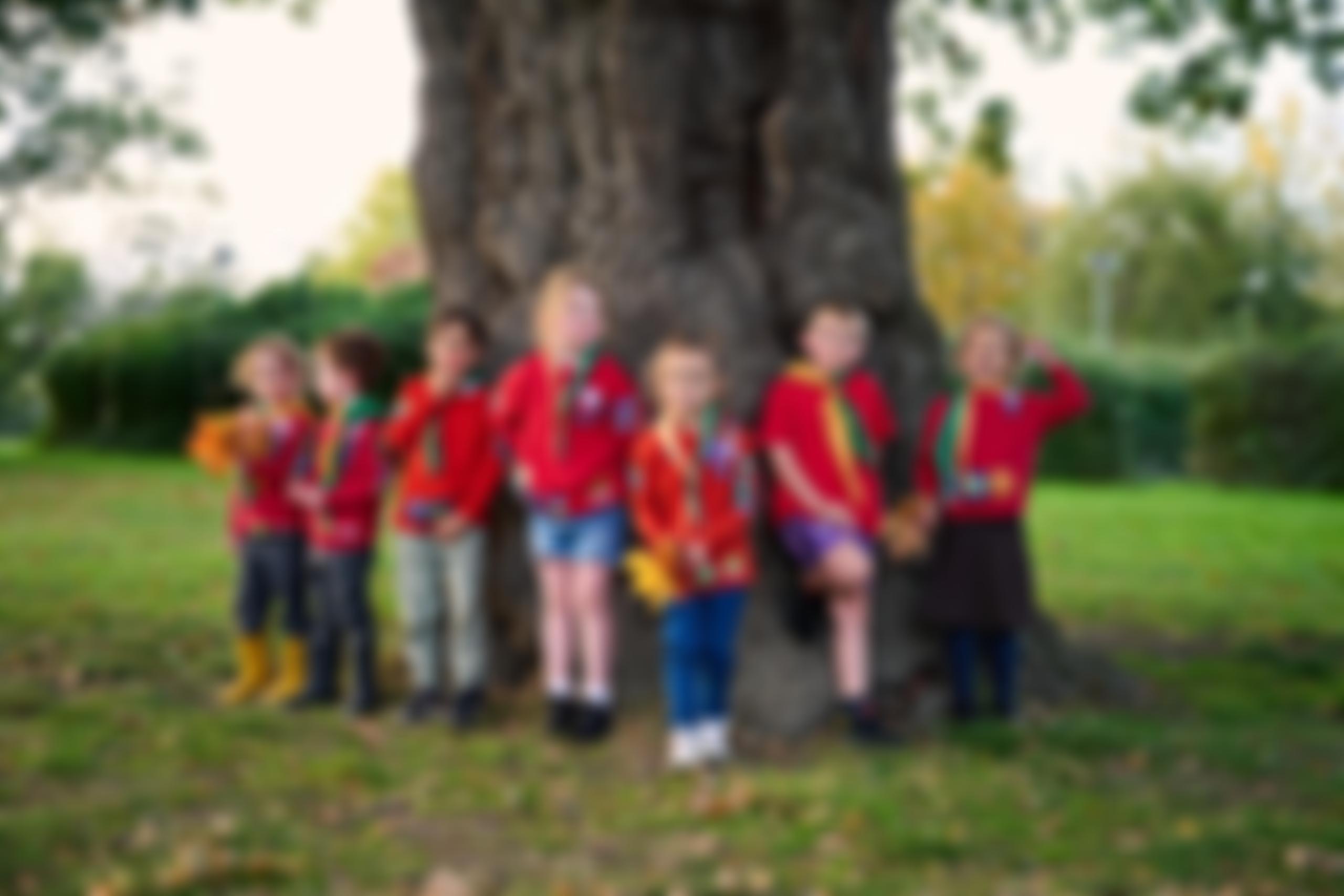 Walsall North Scout District | Charici