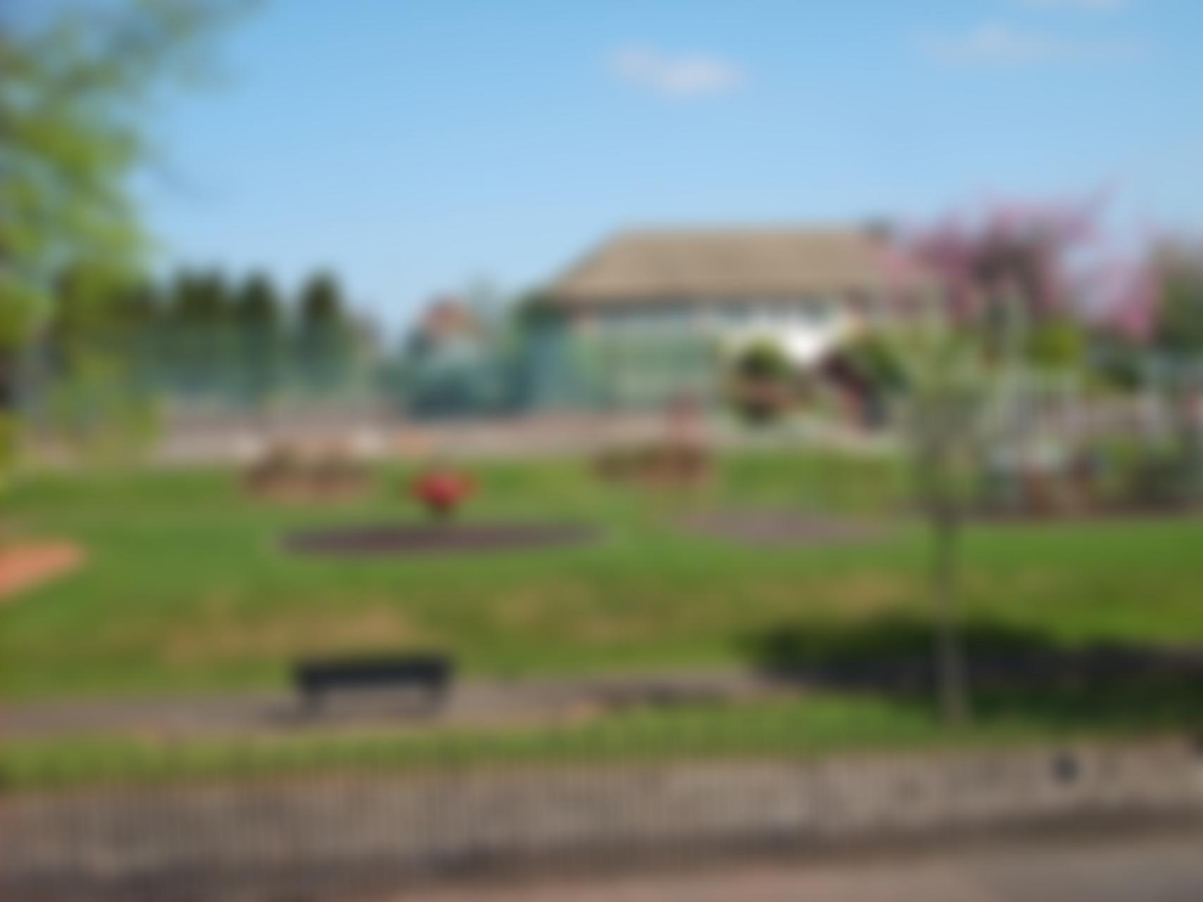 Friends Of Onchan Park | Charici