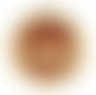 Imperial Society Of Knights Bachelor | Charici