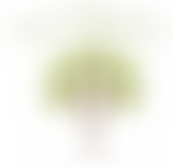 Royal Respite Limited | Charici