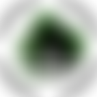 Brightwell Supporting Refugees | Charici