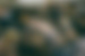 Farm Urban | Charici