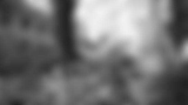 The Order Of Grace | Charici