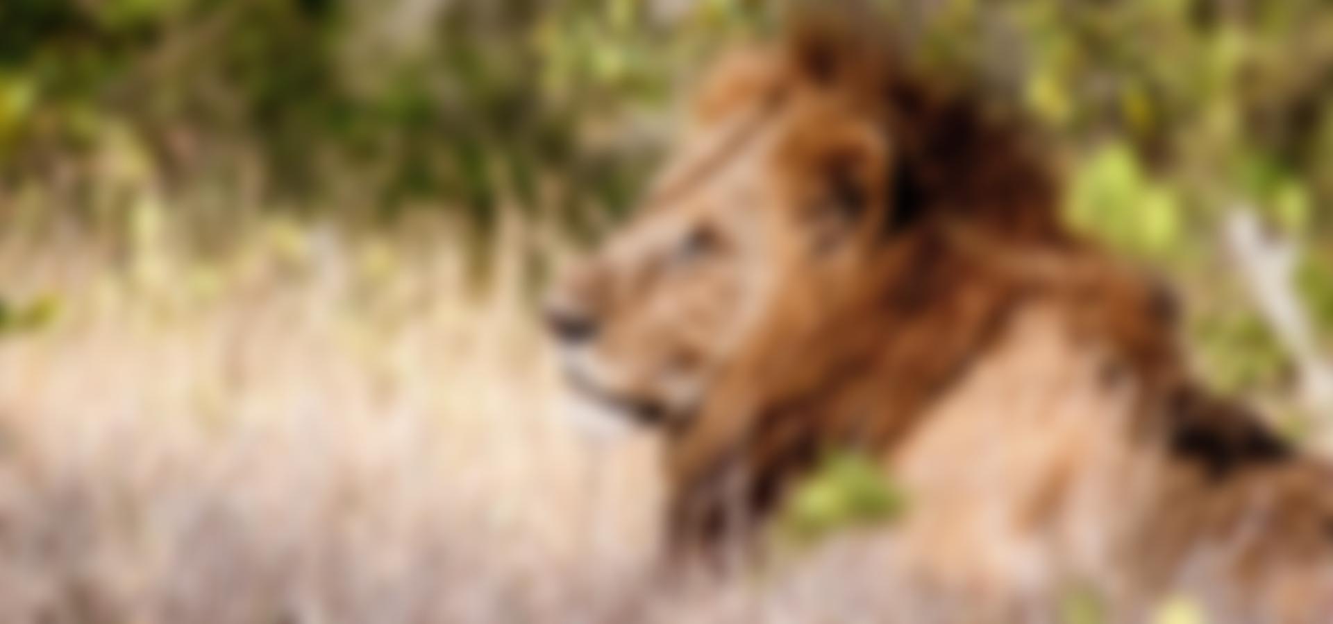 Tusk Trust Limited | Charici