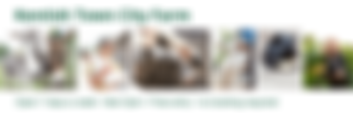 Kentish Town City Farm Limited | Charici