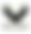 Hands For Humanity | Charici