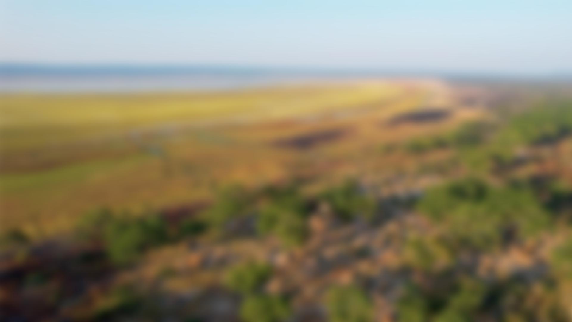 Conserve Global | Charici