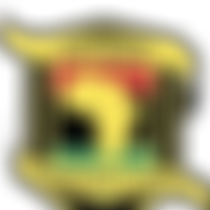 Our Roots Inner City Lives | Charici