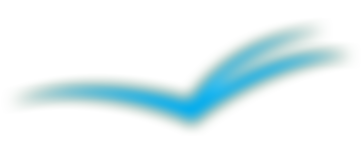 Darul Hadis Latifiah Foundation | Charici