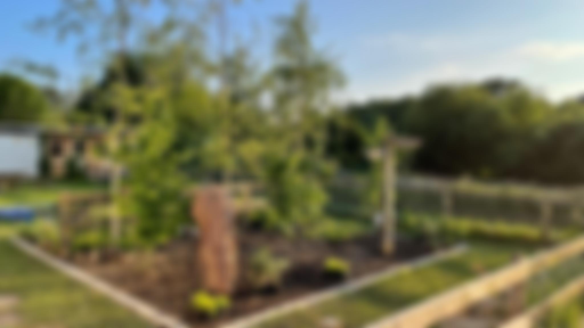 The Bramshaw Trust | Charici