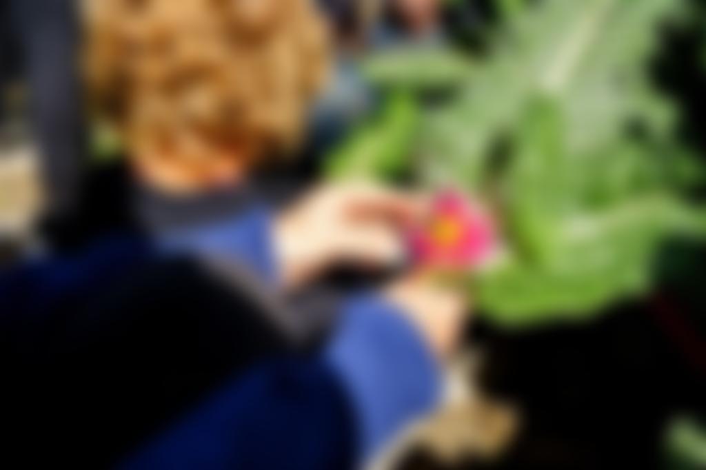 New Leaf Learning | Charici