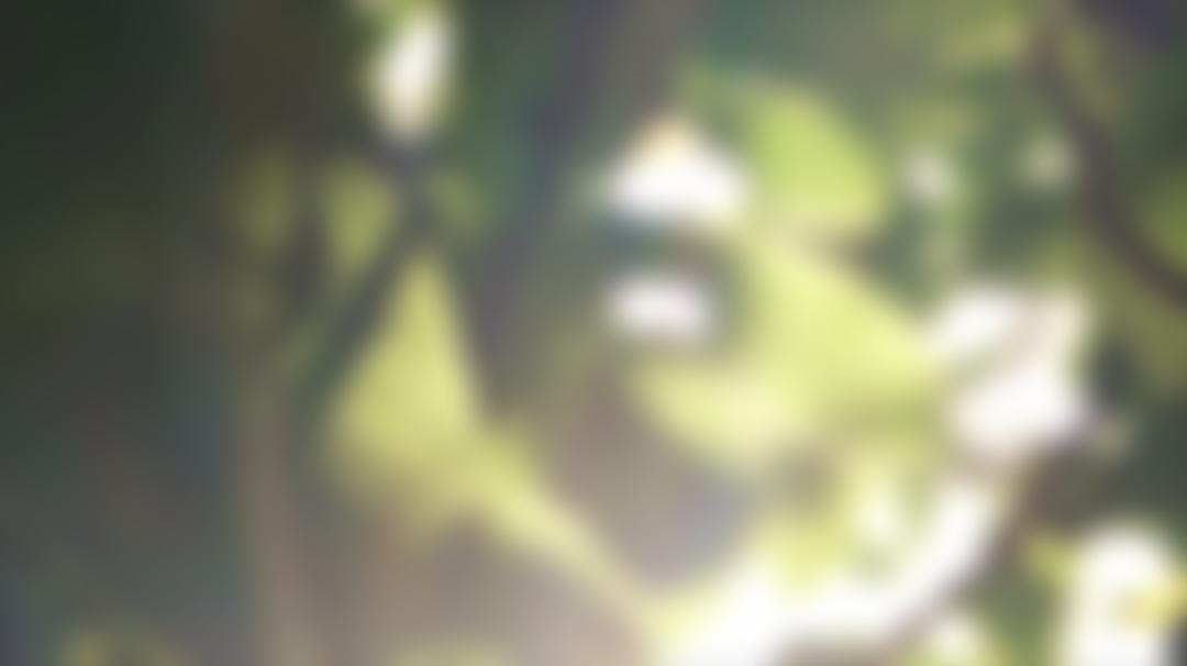 Prophetic & Evangelical Ministries Pillar  Of Fire | Charici