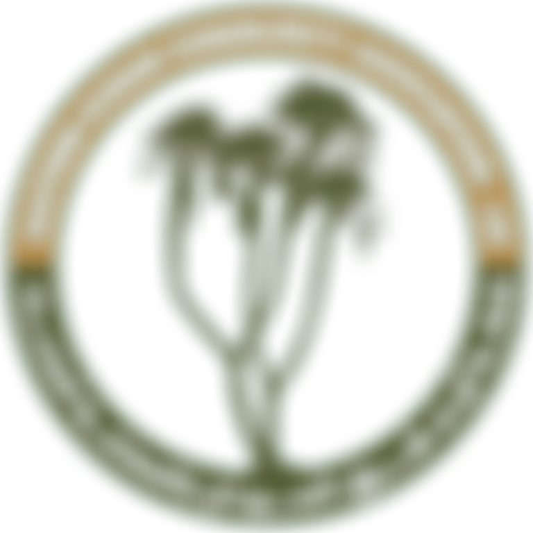 Eastern Sudan Community Association | Charici