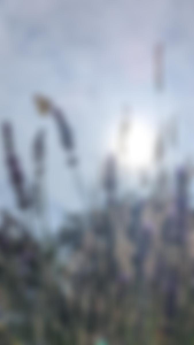 Wellspring Baptist Church, Newark | Charici