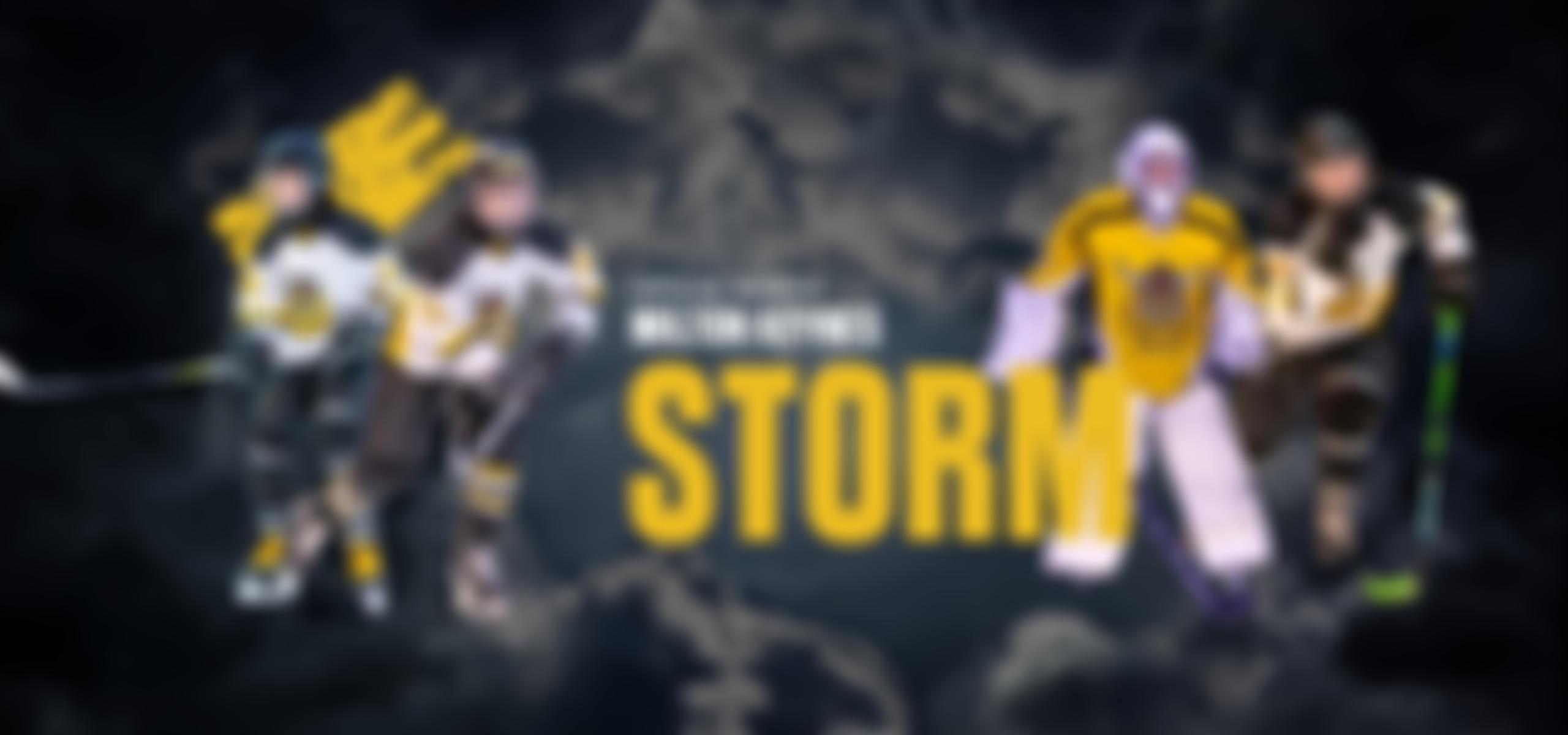 Milton Keynes Junior Ice Hockey Club | Charici