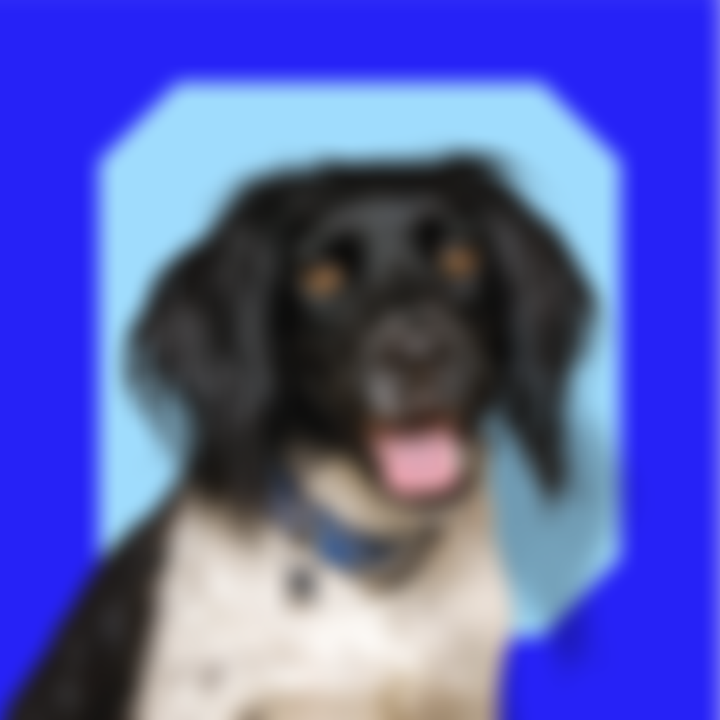 Royal Society For The Prevention Of Cruelty To Animals Essex Mid & North Branch Cio | Charici