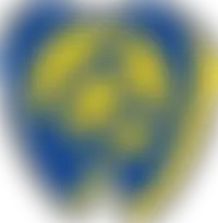 European Foundation For Veterinary Dentistry | Charici