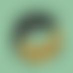 Raven's Reptile Rescue UK | Charici