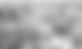 Culver Archaeological Project | Charici