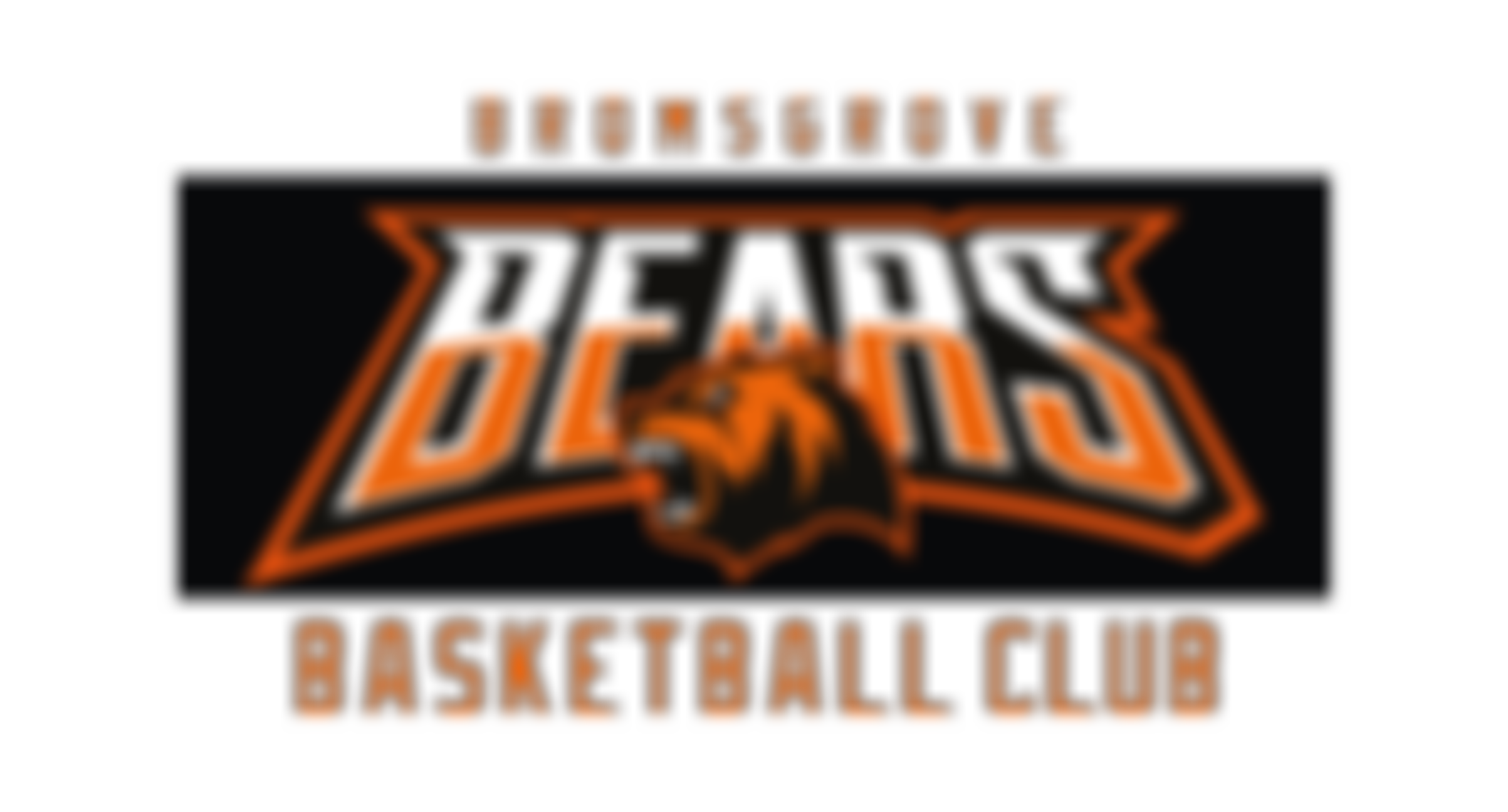 Bromsgrove Bears Basketball Club | Charici
