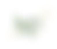 Anna's Song | Charici