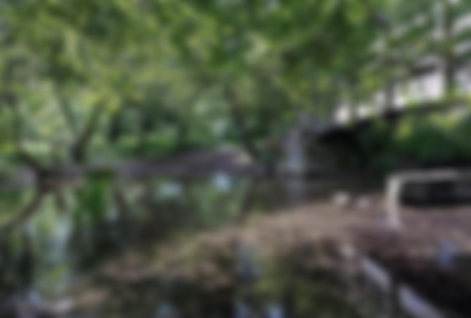 Broken Bridges Nature Reserve Charitable Incorporated Organisation | Charici