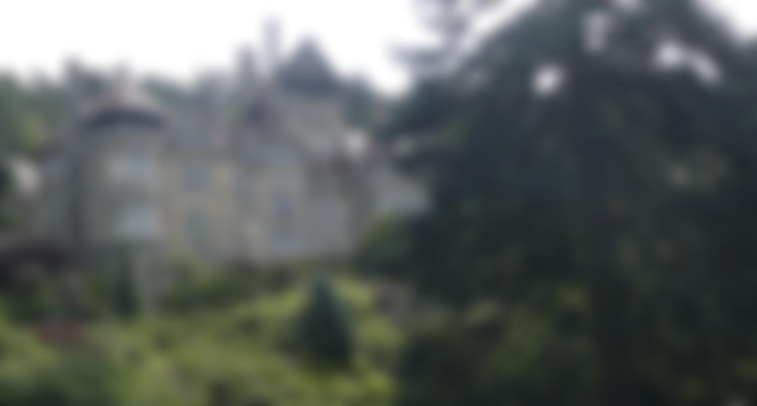 The Armstrong Project | Charici