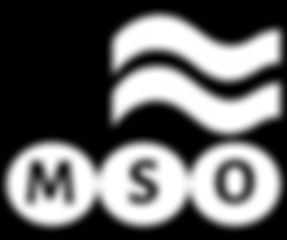 Mid-Somerset Orchestra | Charici