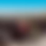 Dorchester And West Dorset Advanced Motorcyclists | Charici