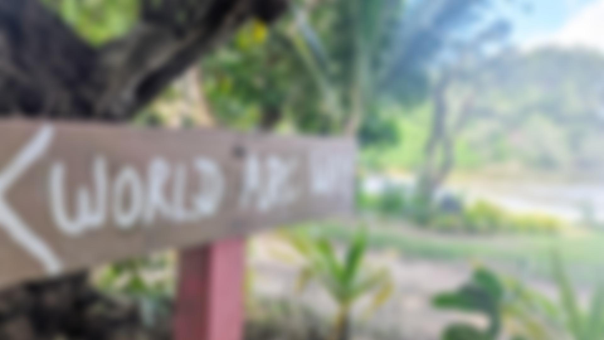 World Cruising Club Positive Impact Fund | Charici