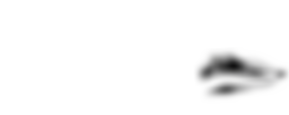 The West Kent Badger Group | Charici