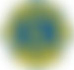 Barton Under Needwood & District Lions Club (Cio) | Charici