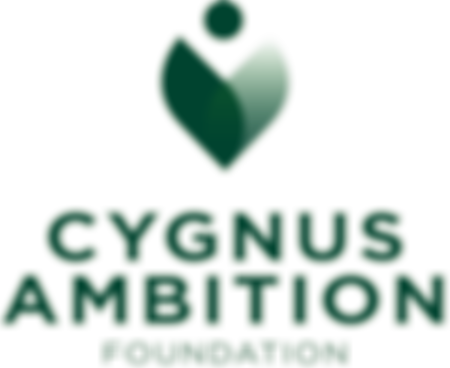 Cygnus Ambition Foundation | Charici