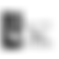 Music On The Levels | Charici