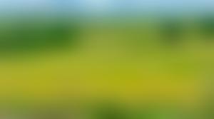 The Parochial Church Council Of The Ecclesiastical United Parish Of The Hemingby Group In The Diocese Of Lincoln | Charici