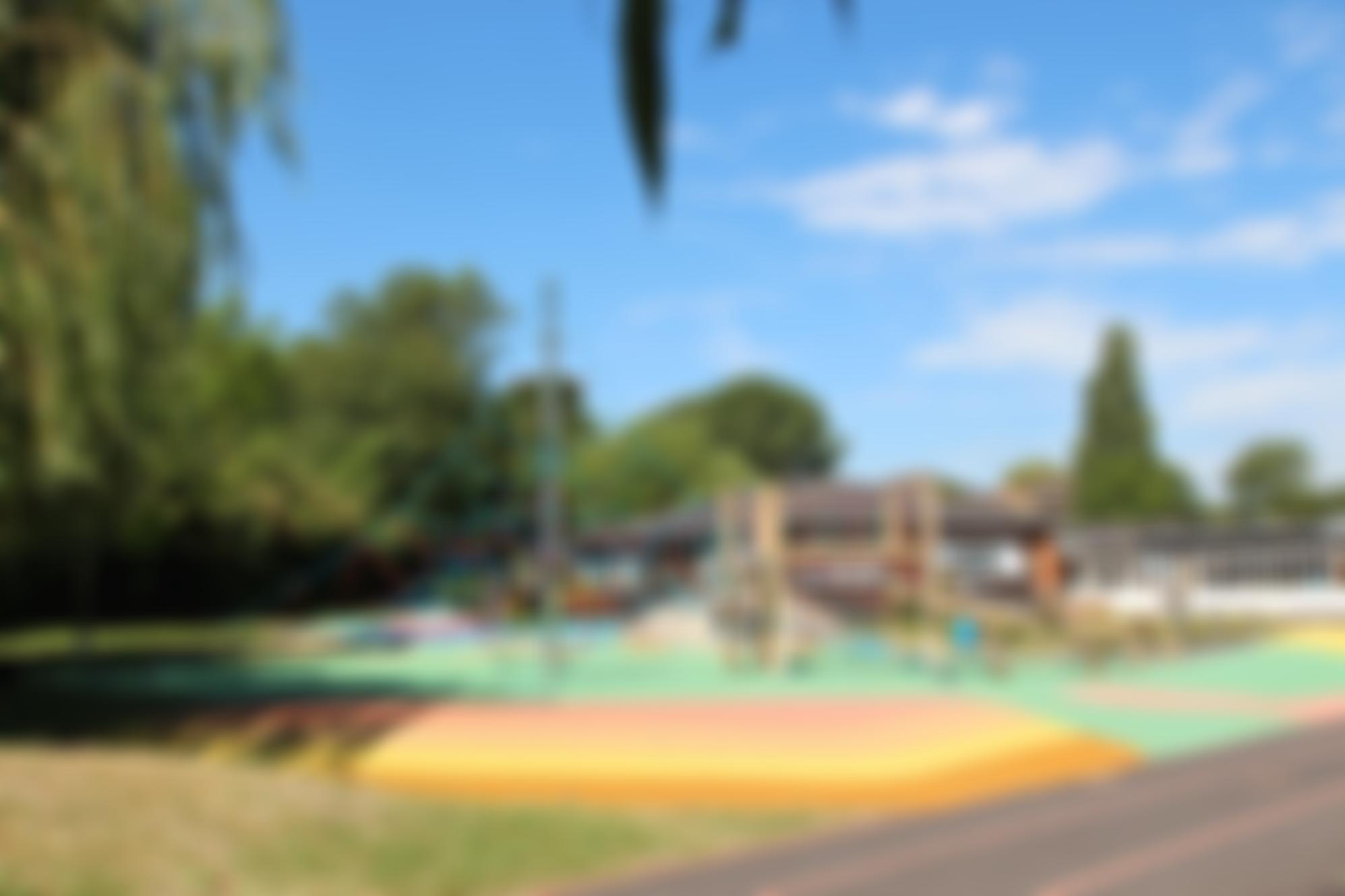 The Friends Association Of Belvue School | Charici