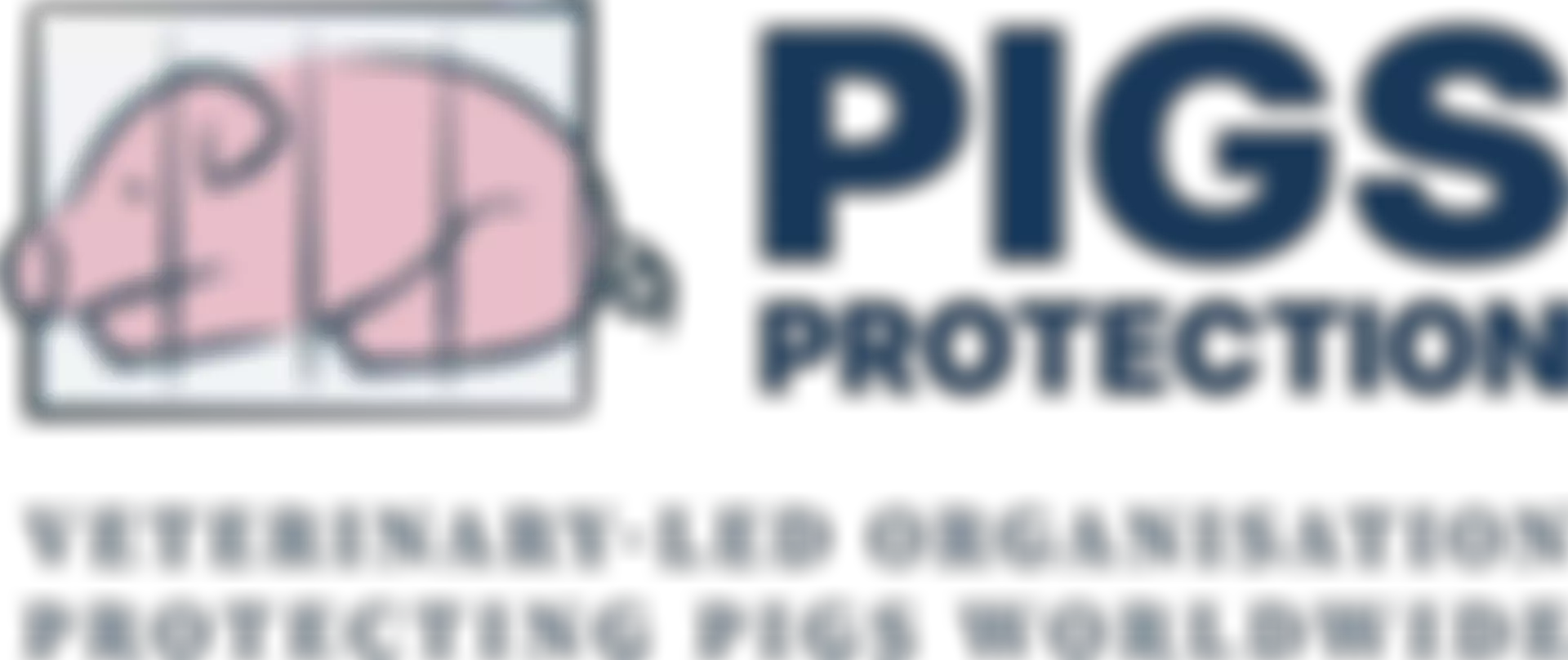 Pigs Protection | Charici