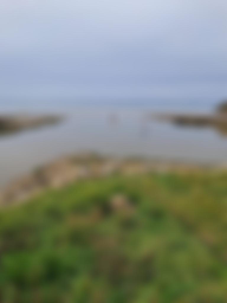 Woodspring U3A | Charici