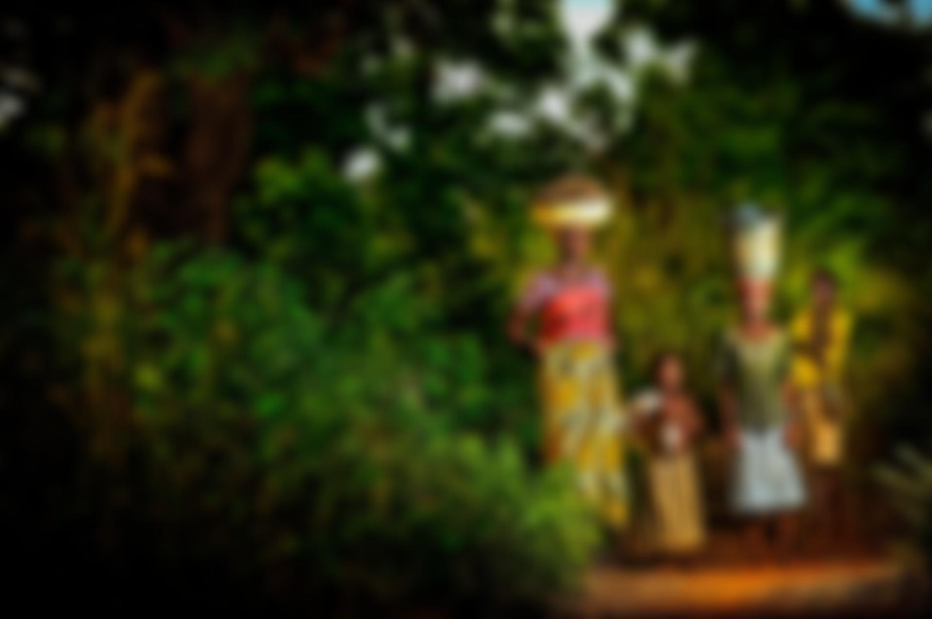 Sdg2 Advocacy Hub | Charici