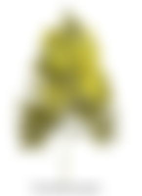 Orthostatic Tremor UK Support Group | Charici