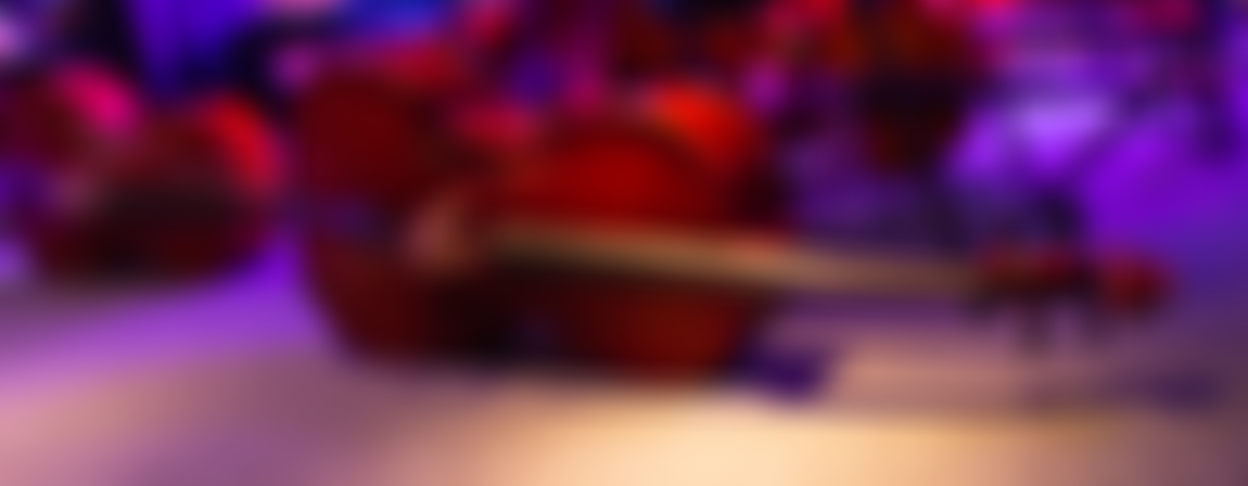 Newcastle-Under-Lyme Community Orchestra (Nulco) | Charici